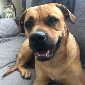 Meet your Posher, Chelsea